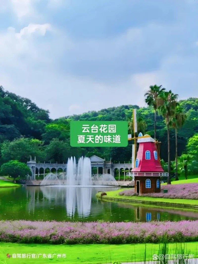 

Силиконовый органайзер-поддон для центральной консоли Changan Qiyuan Q07 (модель 2025 года), противоскользящая накладка, аксессуар для декора и хранения