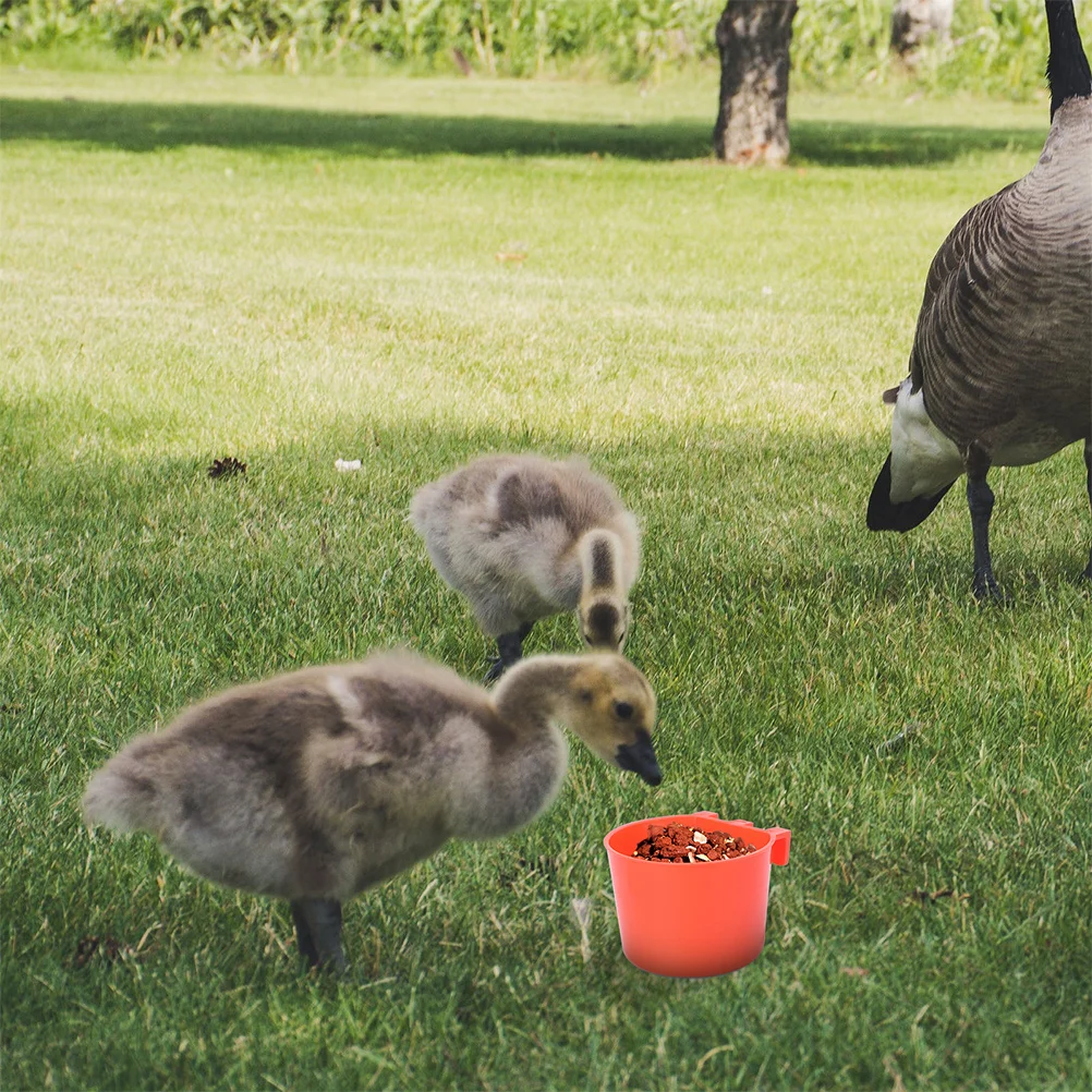 

12Pcs Bird Food Bowls Sturdy Parrot Feeding Bowls Cage Birds Supplies Food Holder Parrot Feeding Bowl Birds Feeder