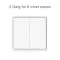 2 Gang Scene Switch