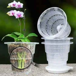 Meshpot Pack of 4 Clear Plastic Orchid Pots with Holes and Saucers for Repotting Small Orchid Planters Own Scientific