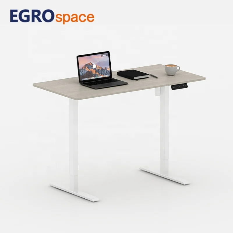 Adjustable Standing Single Motor Computer Lift up Electric Office Ergonomic Supplier Sit Stand Desk