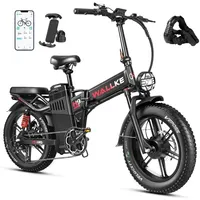 Wallke H9 AWD Electric Bicycle 2000W Folding Electric Bike 40AH/60AH Ebike 20*4.0\