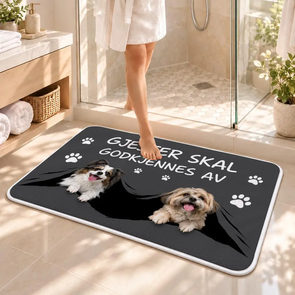 Dog Visitor Approval Floor Mat Flannel Rug Soft Non Slip Door Mat for Bathroom Bedroom Entryway Home Decor Gift