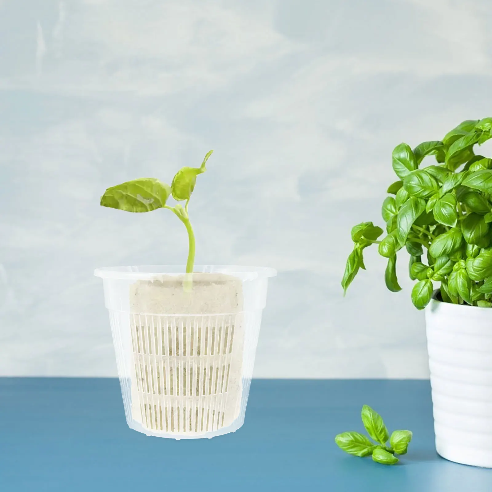 

4 Pcs Hydroponic Vegetable Growing Baskets Aquatic Plant Pots Net Cups Slotted Mesh Heavy Duty Garden Containers Balcony Indoor