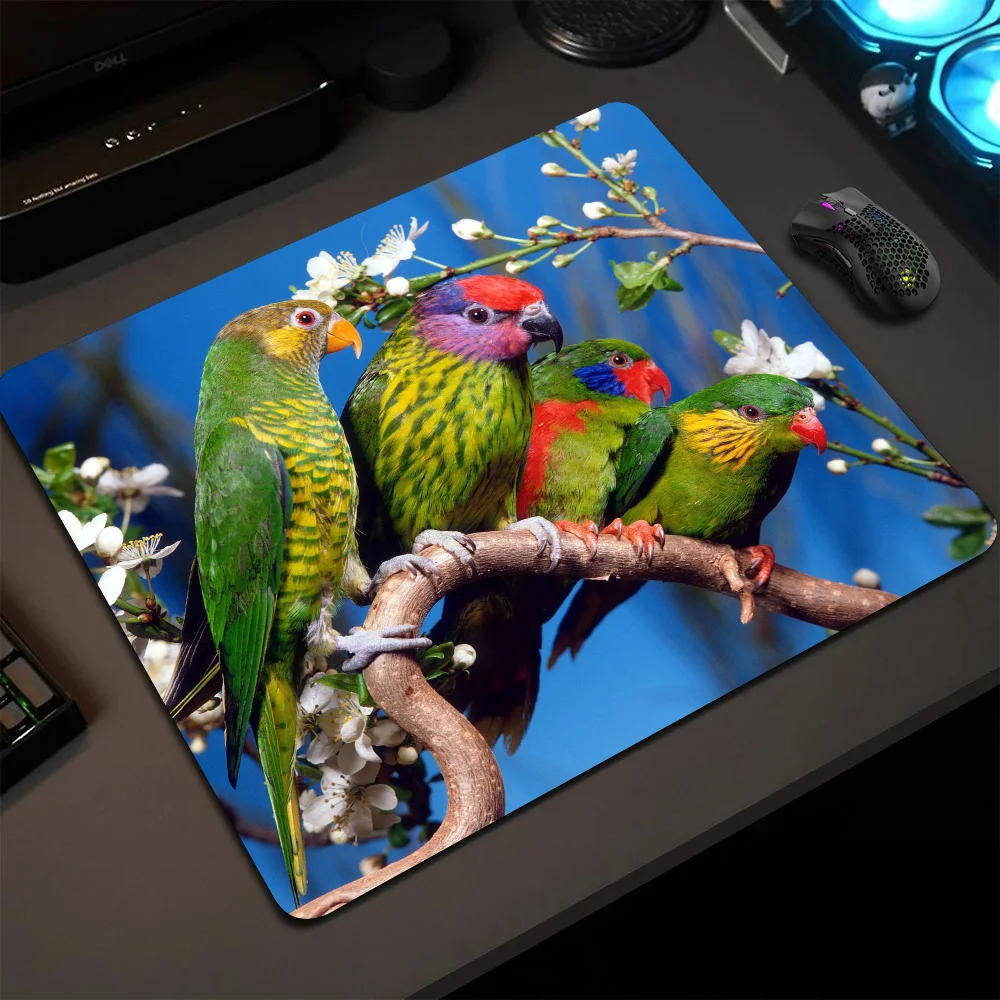 

Animal Bird Parrot Mousepad Small LockEdge Mouse Pad For Gamers Computer Desk Pad Anti-slip Rubber