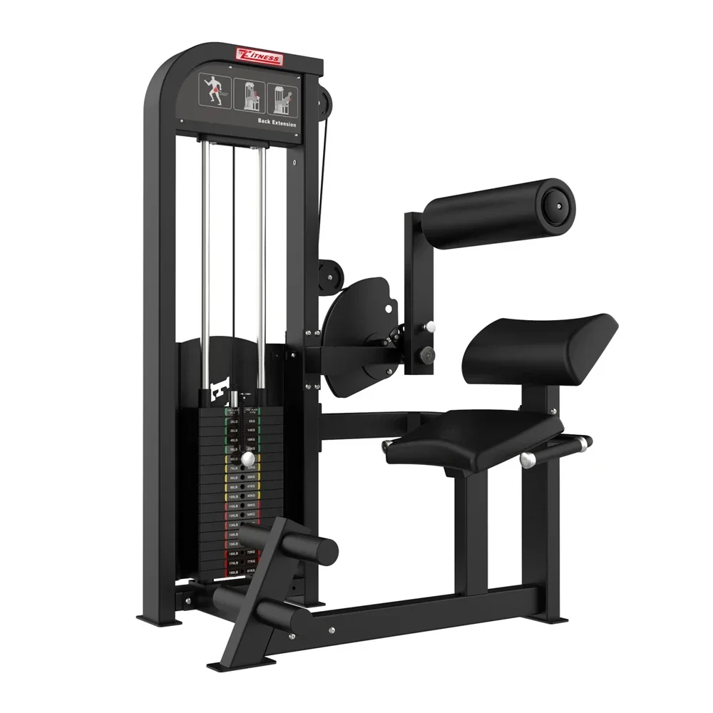 

Home Gym Back Squat Machine Gym Equipment Back Extension