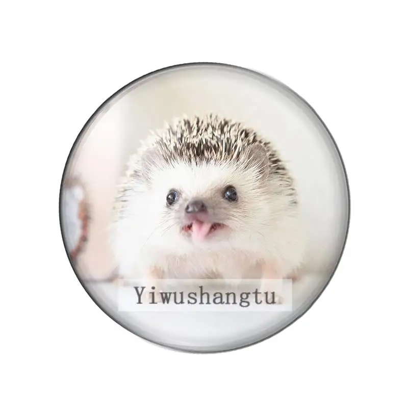 Cute Hedgehog Pets animals  8mm/10mm/12mm/18mm/20mm/25mm Round photo glass cabochon demo flat back Making findings ZB0543