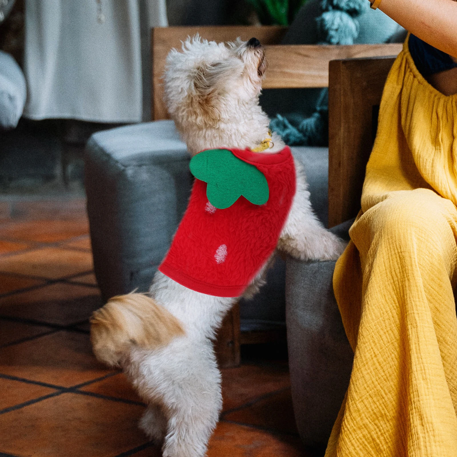 

2pcs Puppy Warm Clothes Pet Strawberry Costume For Small Dogs Cozy Breathable Chihuahuas Coat Winter Outdoor Rabbit Apparel