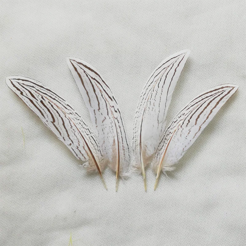 

Silver Feathers! 100Pcs/lot ! 10-15cm/15-20cm Long NATURAL Silver Tail Pheasant Feathers,Silver Pheasant Tails,Feathers Top