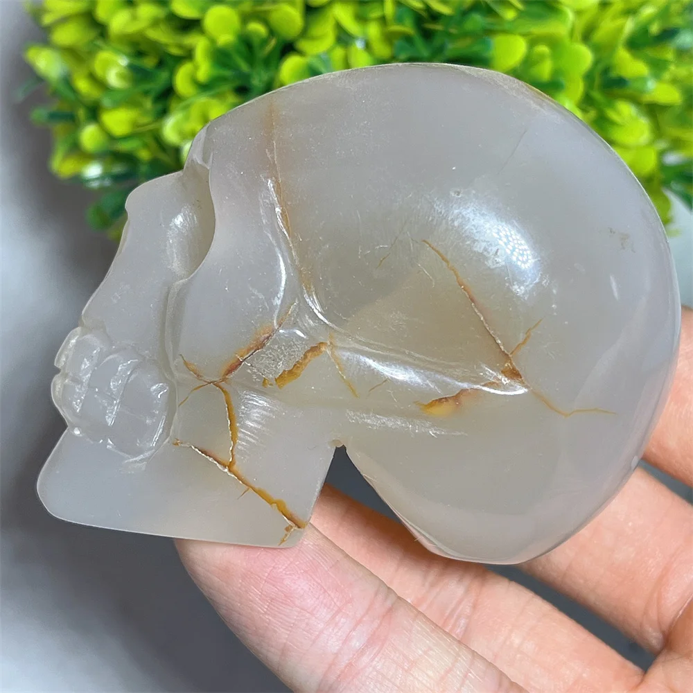 

Agate Skull Crystal Natural Carving Stone Quartz Specimen Crystal Natural Gift Reiki Mineral Decoration Energy Gemstones