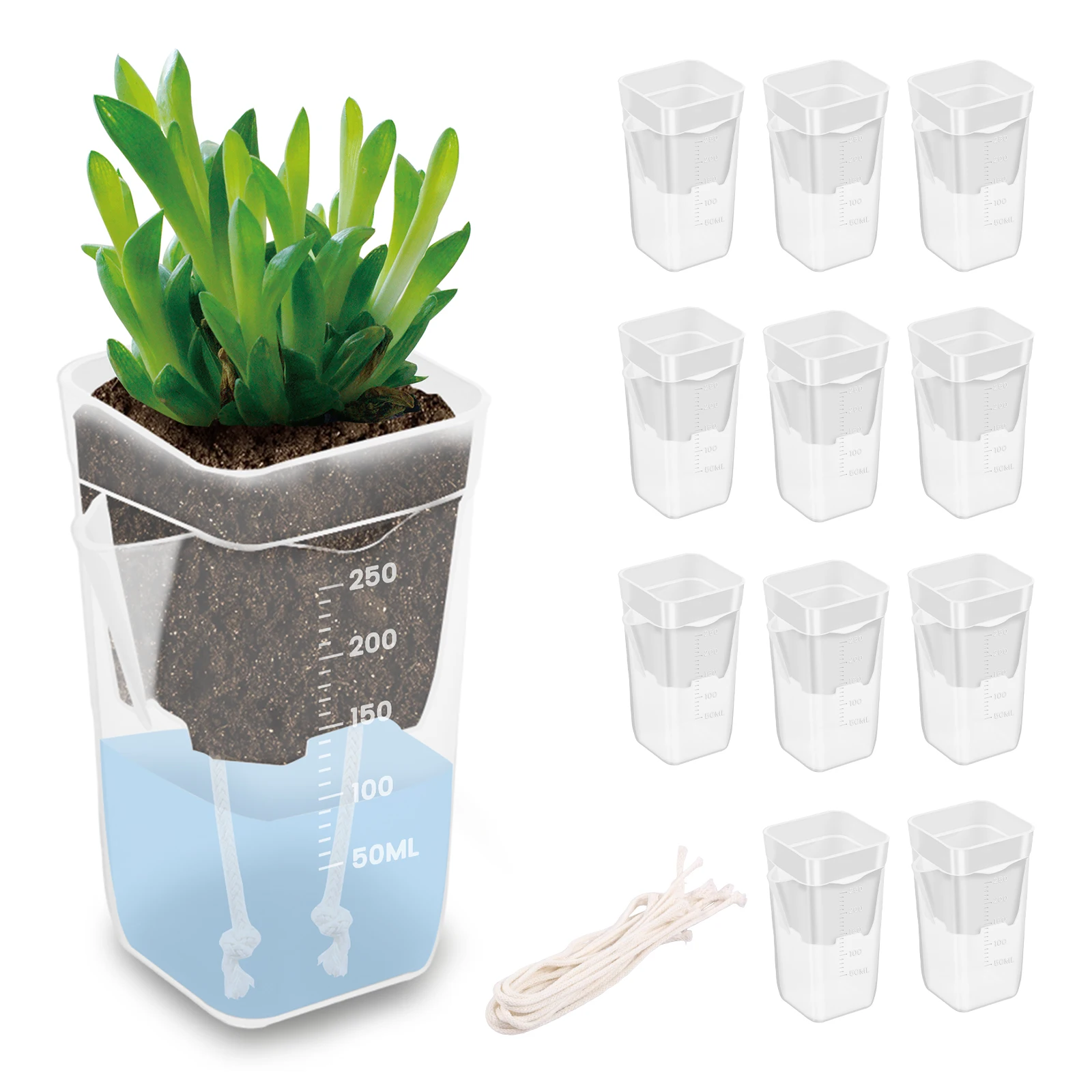 12 Pcs Self Watering Plant Pot Transparent Double Layer Plastic with Drainage Holes Cotton Rope Watering Small Nursery Pot