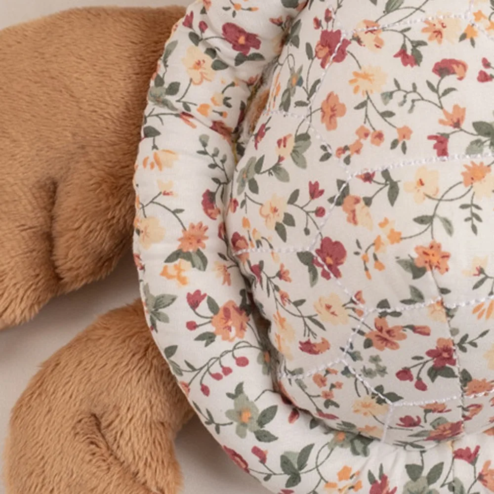 

Turtle Doll Marine Animal Tortoise Stuffed Star Sea Turtle Stuffed Doll Collection Cartoon Animal Sea Turtle Pillow Home Decor