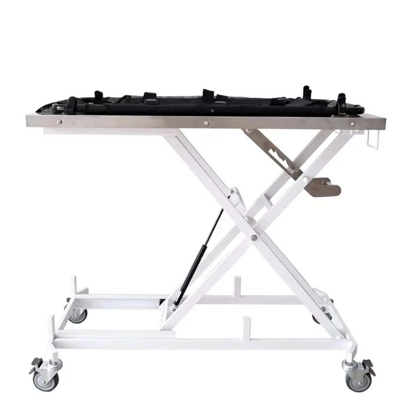 LIZE Stainless Steel Pet Transport Stretcher for Dogs Veterinary Clinic Instrument for Pet Transportations