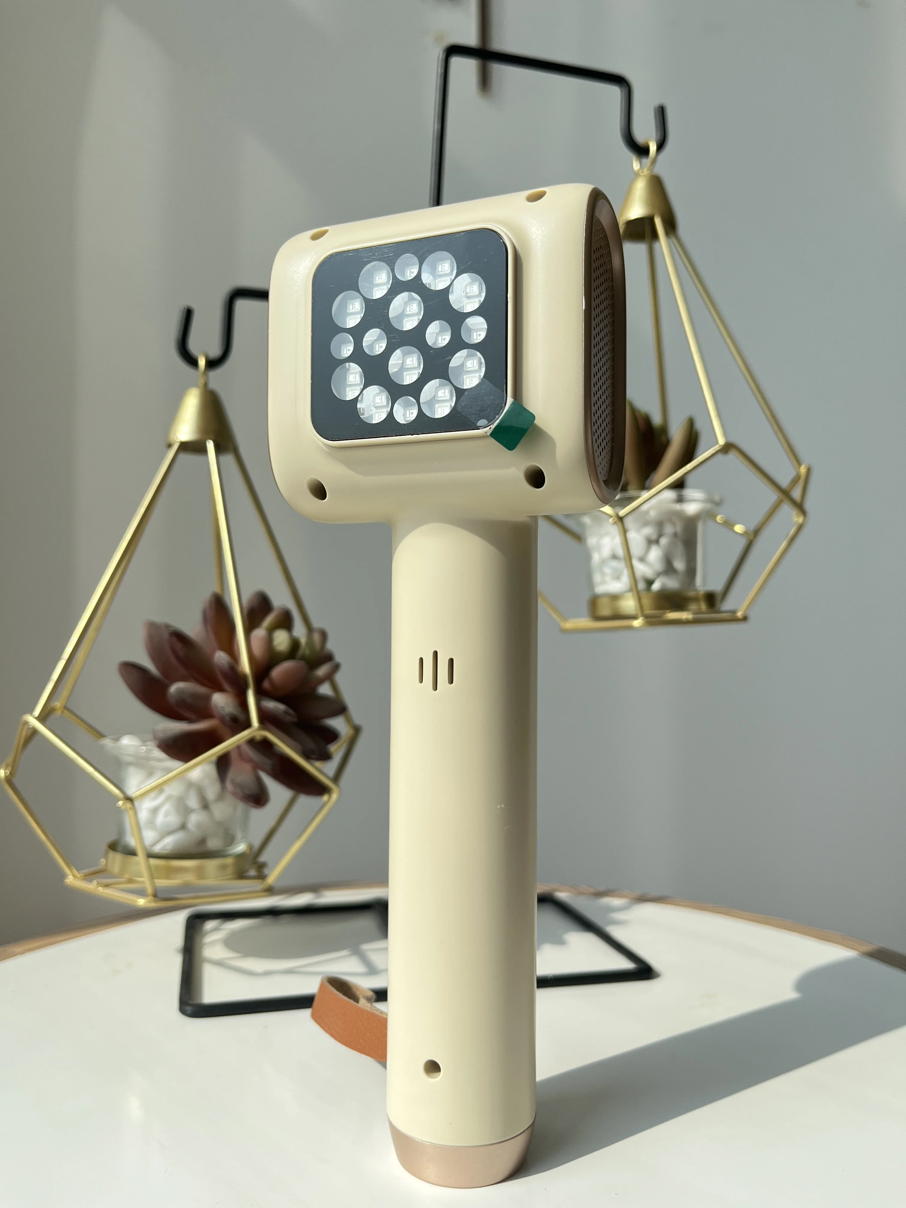 Home and Hospital Use LED Light Laser Therapy Device for Cat Dog Skin Veterinary Instrument for Pet Care