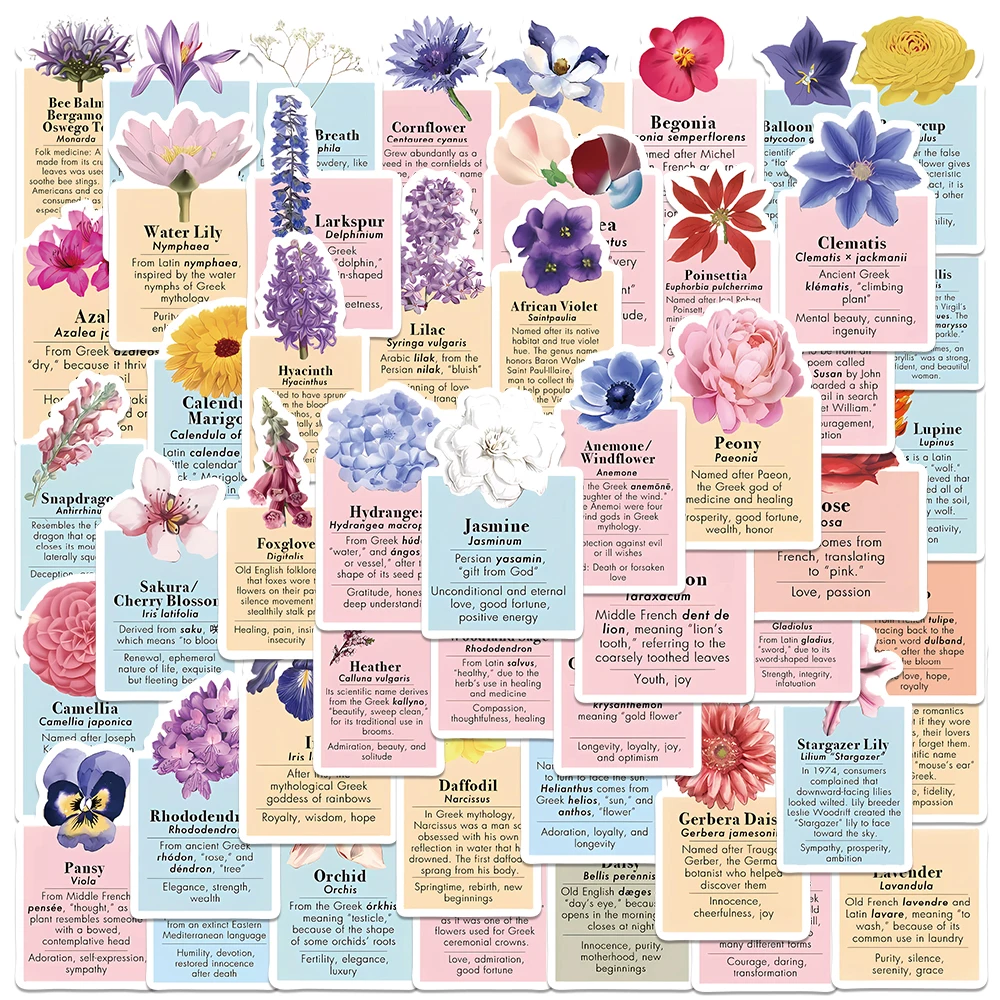 

50pcs Floral Language Sticker Aesthetic Colorful Flower Decal For Laptop Skateboard Helmet Luggage DIY Decal Sticker HD Printing