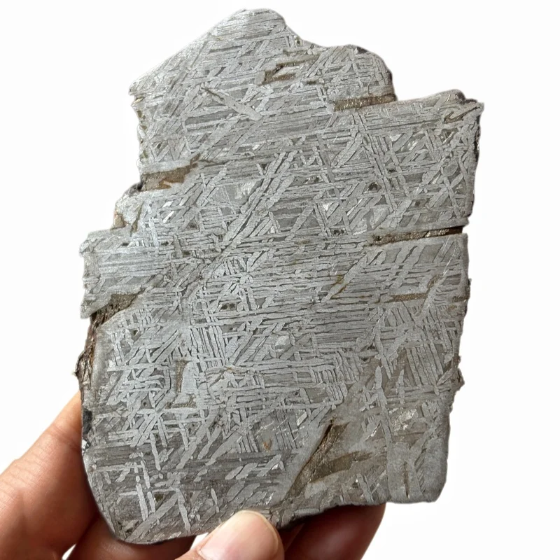 Muonionalusta Iron Meteorite Slice Etched Widmanstatten Pattern Irregular Specimen Mineral Collection Display CC262