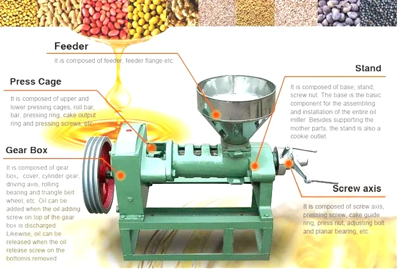 6yl-68 Screw Tcanola Oil Press Machine /cotton Seed Oil Pressing Machine Oil Press Machine Fully Automatic Large-scale