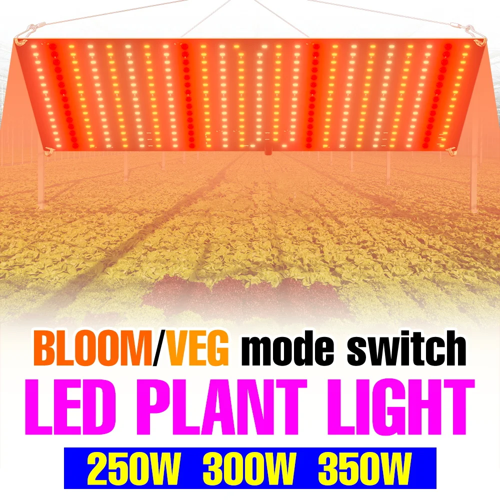Lámpara LED de Cultivo de Plantas de 350W, Espectro Completo, Hidroponía, Lámpara de Relleno UV/IR Quantum Board, Iluminación para Invernadero, Verduras, Frutas y Suculentas