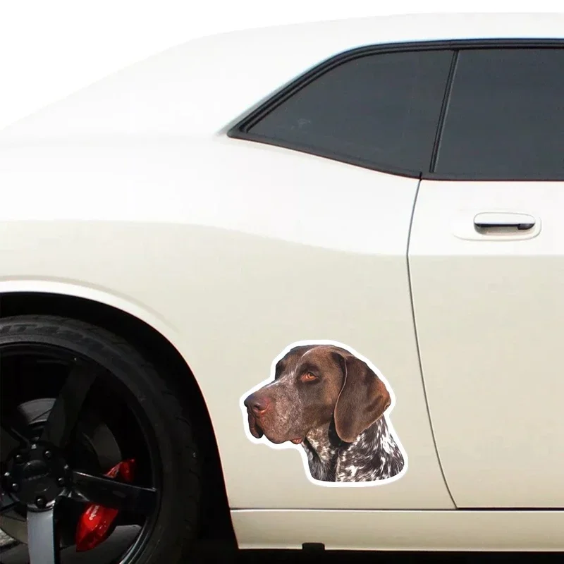 Car Sticker Various Sizes Decal German Shorthaired Pointer Car Sticker Waterproof on Bumper Rear Window Laptop Refrigerator