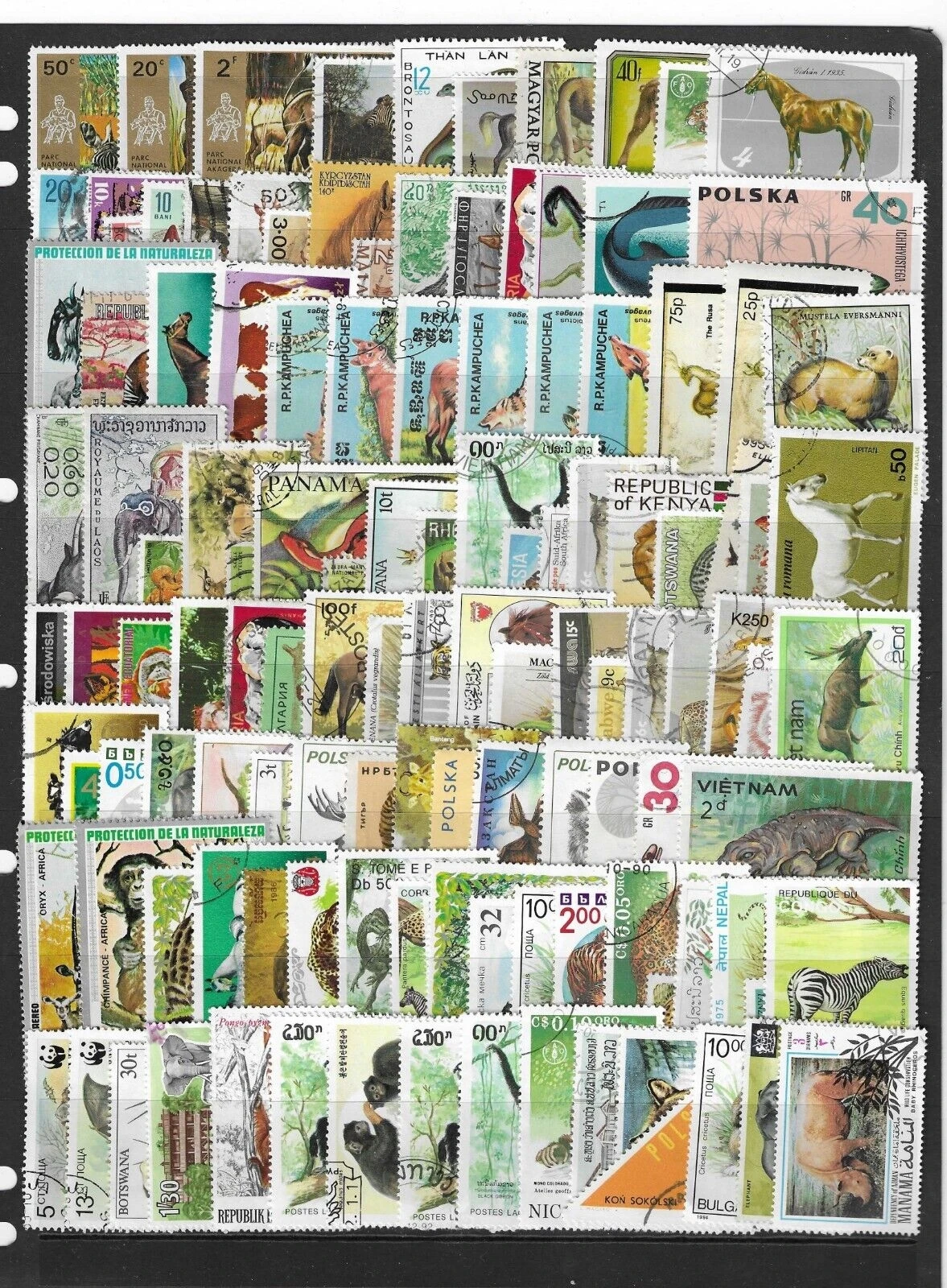 Wildtiere der Welt: Echte Briefmarken mit Tiermotiven, 100 verschiedene Tierbriefmarken, Sammlung, Sammlerbriefmarken – Detail 4