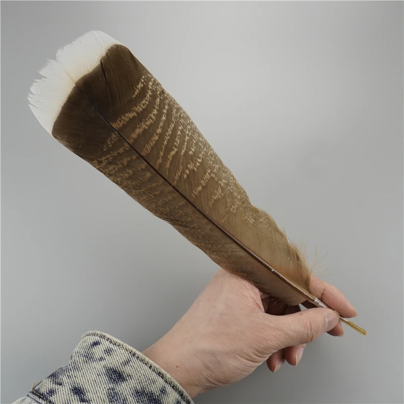 Piume d'aquila naturali 10 pezzi Piume lunghe di tacchino grandi per artigianato Plumas Accessori di carnevale Decorazione di nozze