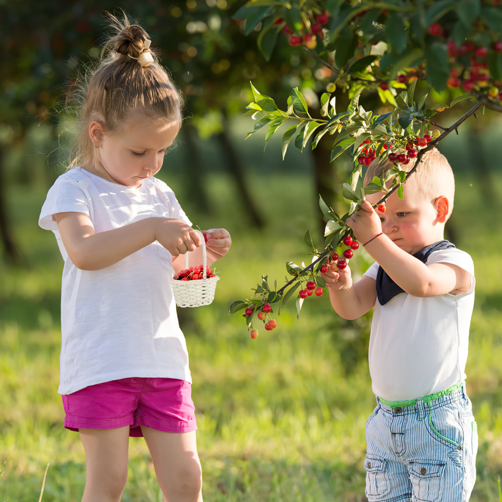 

10 pcs Rattan Picking Baskets Handwoven Round Small Vegetable Storage Picnic Lightweight Portable Handle Kitchen Wicker Flower