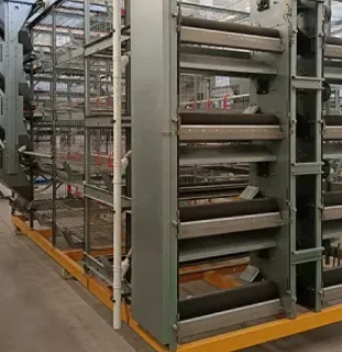 Broiler Chicken Raising System 'H' Typ Cage für Geflügelfarmausrüstung