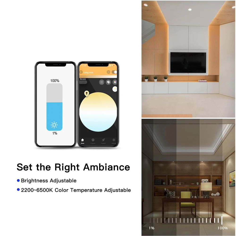 Tuya Zigbee 2CH LED Controller DC 12V 24V Smart Dimmer con Dimmer Push 4 Zone RF 2.4G telecomando per WW CW CCT LED Strip