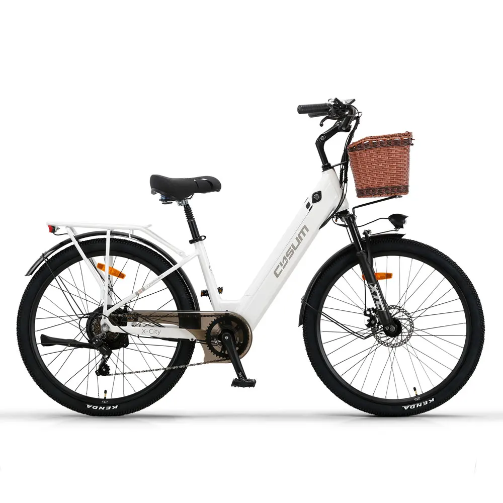 AliExpress Electric Bicycle 26Inch 250W Motor Ebike 7Speed Removable Battery Pedal Assist with Basket Luggage Rack Urban Women City Ebike