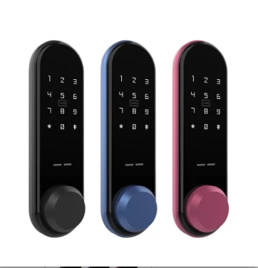 Japanese Minimalist Style Password ID Card APP Remote Control Smart Lock