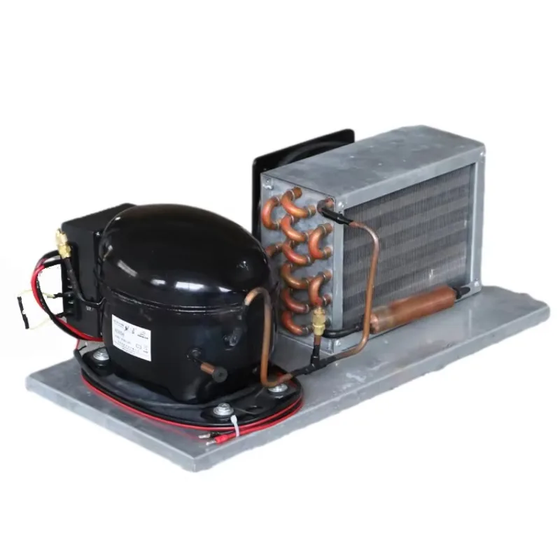 Gold SellerBD65HC Small Portable DC12V 24V Condensing Unit for Freezer Fridge Dehumidifier With Temperature Control