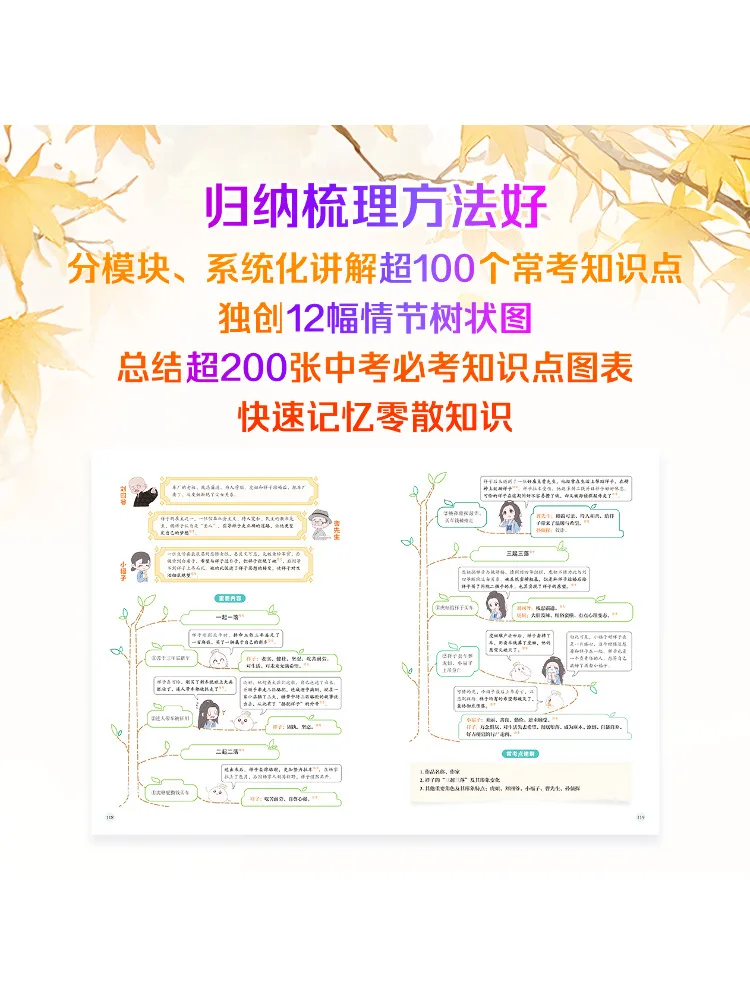 Book-Winshare Bao Juncheng Special Review Of Basic Knowledge in Junior High School Chinese Language