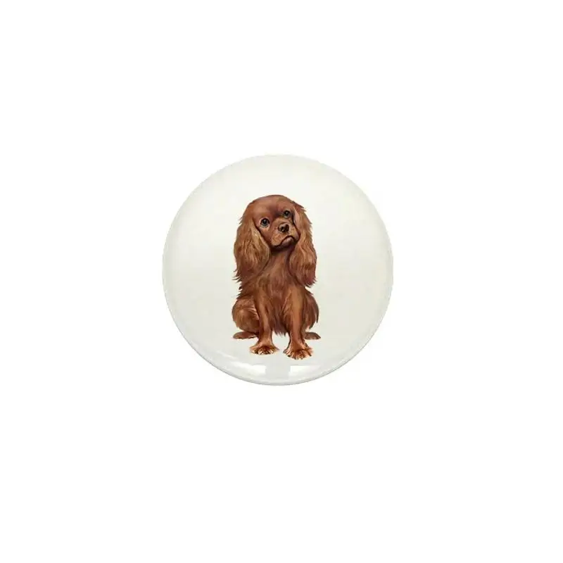 Cavalier - ruby Mini Button Brooch Cartoon Creative Clothes Jewelry Women  Gift Hat Cute Badge Lapel Pin