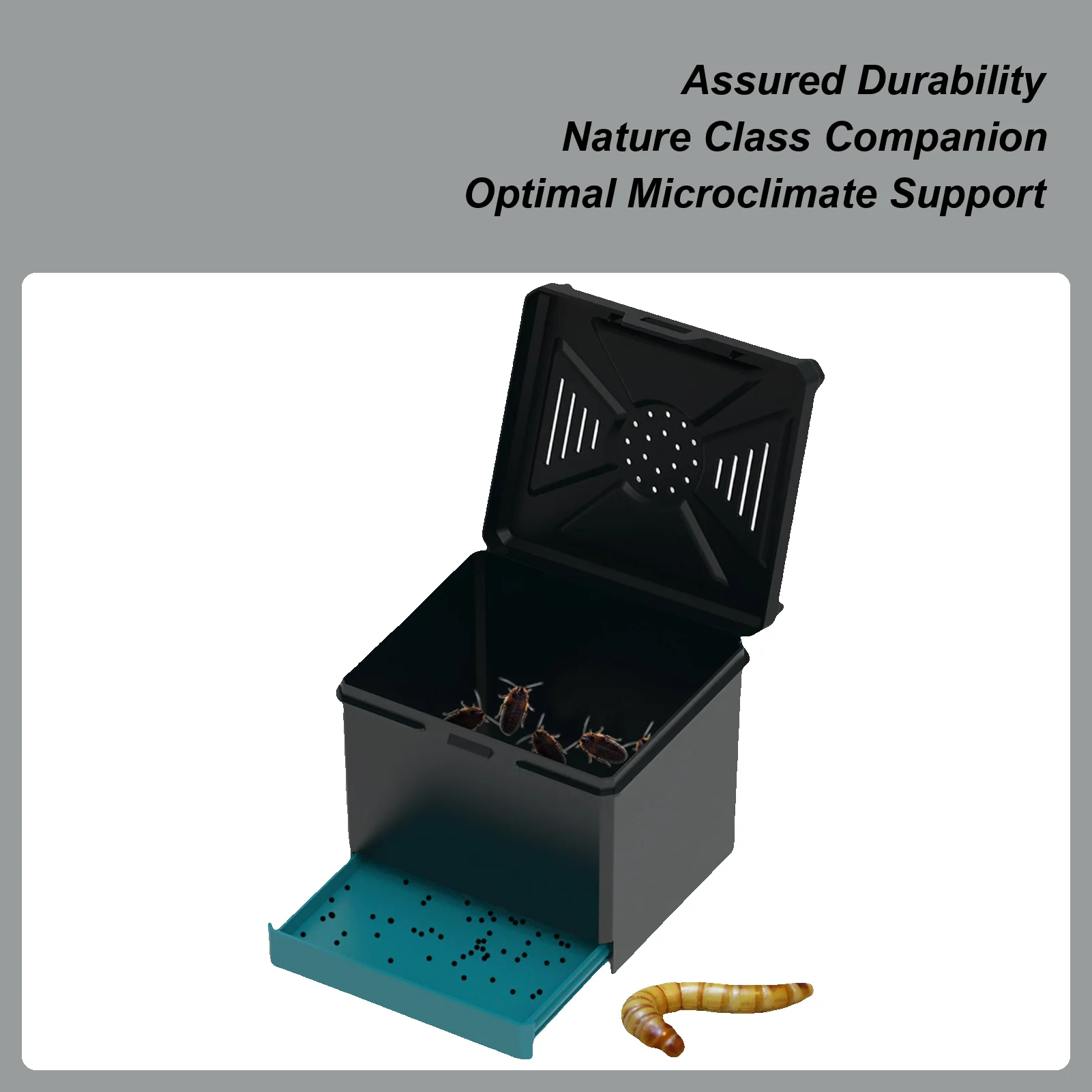 الرتيلاء الضميمة صندوق مراقبة العنكبوت التهوية الموئل للكريكيتس الخنافس الصراصير العناكب العقارب النمل مانتيس