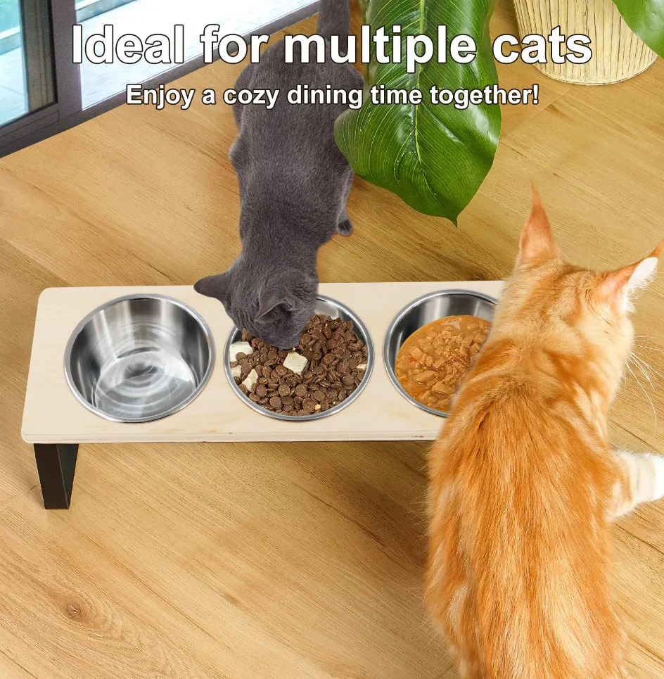 

Elevated Cat Bowls Feeder 15° Tilted Raised Feeding & Watering Supplies Pet 3 Stainless Steel Bowls with Stand for Cats Puppies