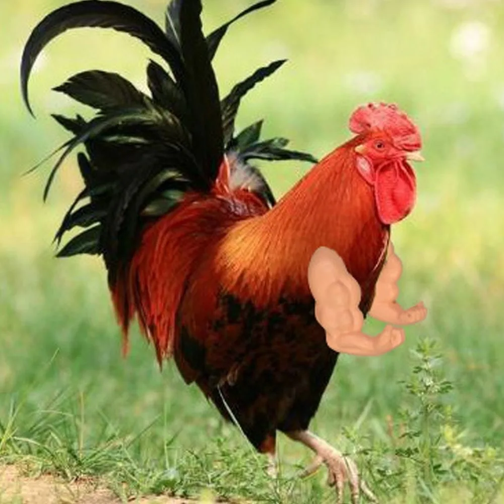 

Funny Fighting Chicken Arms Toys Giant Arm Hulk Arms Wearing Muscle Arm Novelty Artificial Chicken Forelimb Pet Theme Party