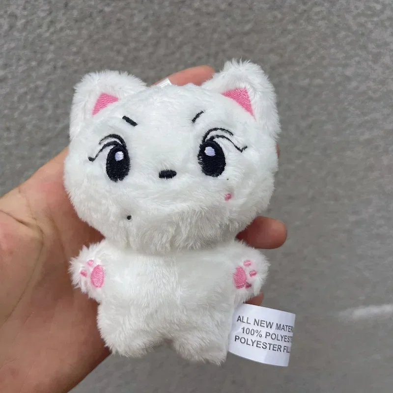 10cm ENHYNegs peluche Simmunge JAY JUNGWON HEESEUNG juguetes de peluche llavero Kawaii dibujos animados JAKE bolsa colgante Plushie Fans coreanos