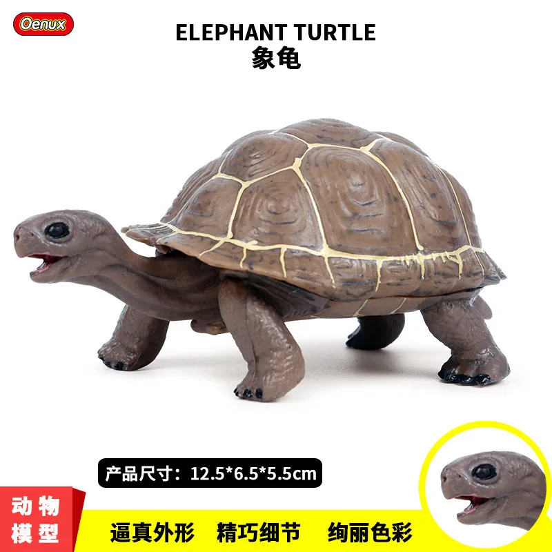 Simulate static animal models, tortoises, tortoises, tortoises, underwater creatures, models, children's toys ornaments