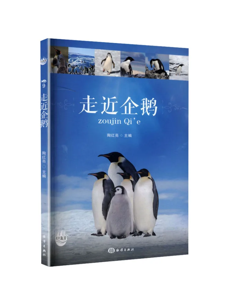 Book-Winshare Approaching the Penguin