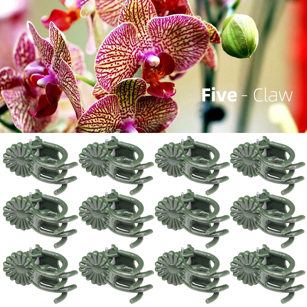 20-50PCS 5-Claw Dark Green Plant Orchid Clips Garden Support Fixing Plastic Clamp Grafting Climbing Vine Stems Grow Upright 