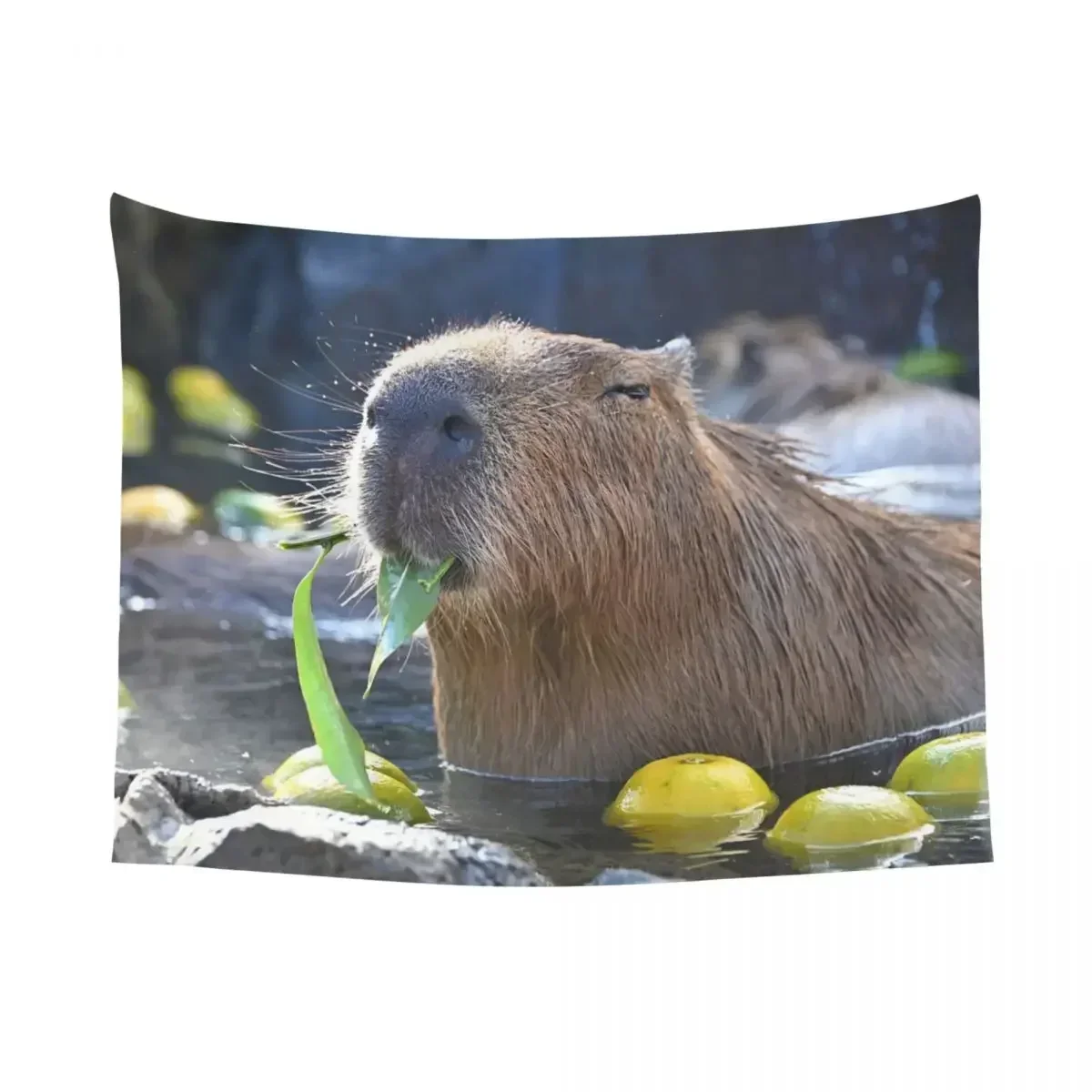 Capybara Tapestry Wall Hanging Hippie Polyester Wall Tapestry Cute Animal Fantasy Throw Rug Blanket Room Home Decor200x150cm