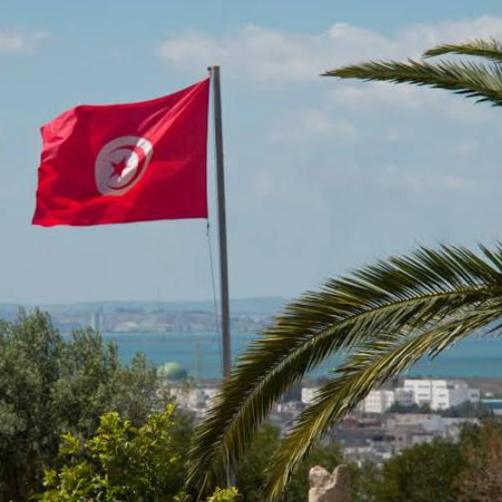 FLAGLINK 90x150 CM Tunisia Flag For Decoration