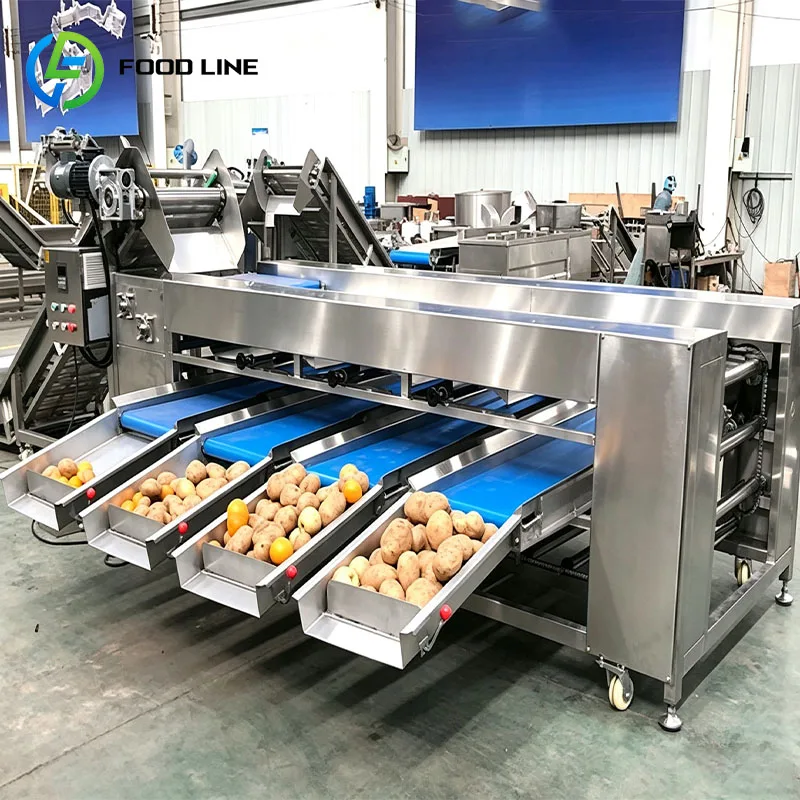 Fruit Grader Fruit Size Sorter Produce Grading Machine for Apple Pear Orange Tomato Avocado Customized