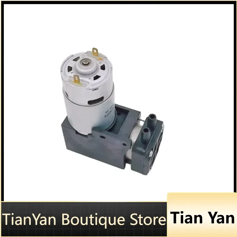 EE1 for Continuous Watering Customized 3750mmHg Pressure 12V Electric Diaphragm Brush DC Air Pump