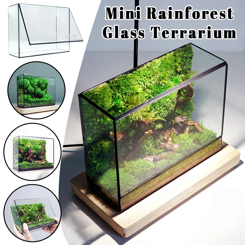 Mini Glass Rainforest Fern Moss Ecological Square Miniature Geometric Glass Terrarium Plant Vase Container Table Greenhouse