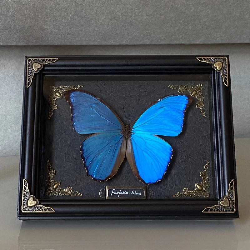 Morpho Menelaus Real Butterfly Specimen Natural Wing Decoration Painting Minimalist Decoration Painting Gothic Decor Sculpture