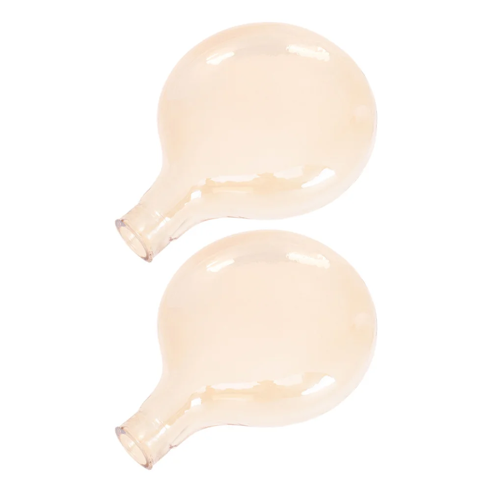 

2 Pcs Lamp Shade Lampshade Replacement Pendant Light Glass Cover Fixture Shades
