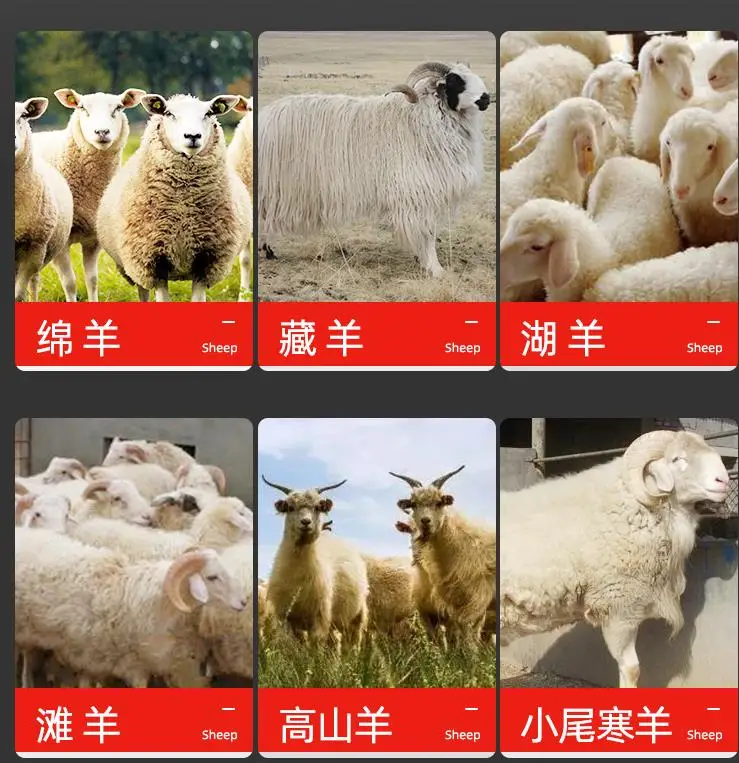 Speed Electric Horse Hair Clipper Farm Animal Shearing Trimmer Shaver Cut Machine for Camel Cow Horse Goat