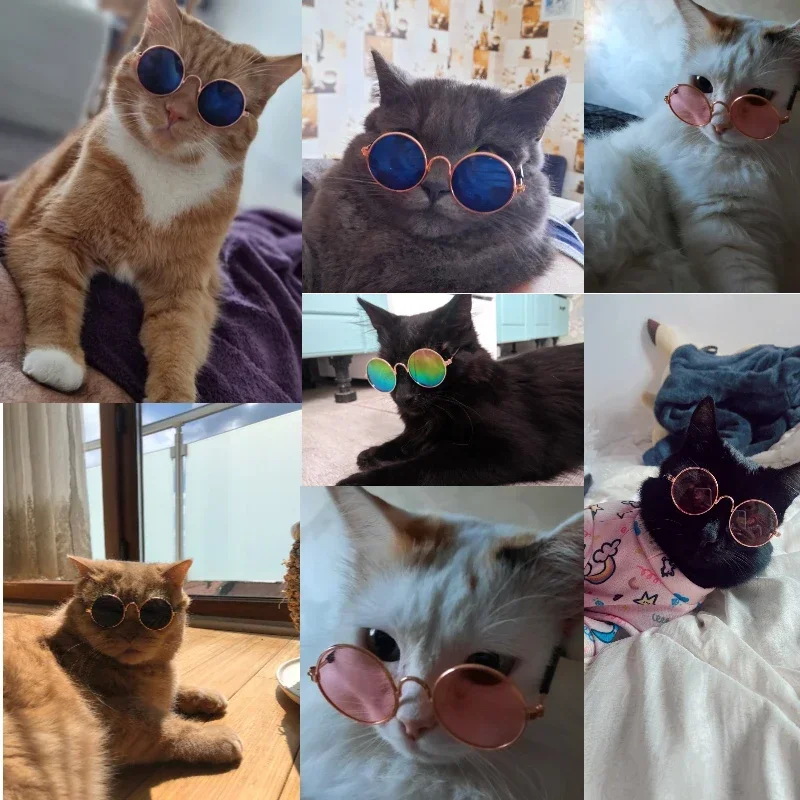 Glasses For a Cat Pet Products Goods For Animals Dog Accessories Cool Funny The Kitten Lenses Sun Photo Props Colored Sunglasses