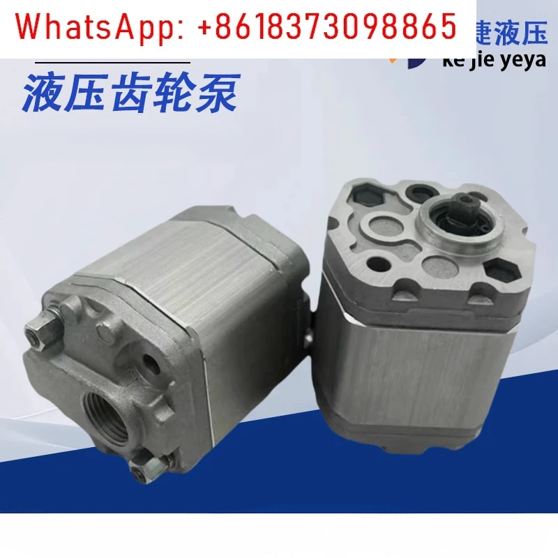 Pompa dell'olio idraulico RGP-F113 RGP-F118 Pompa a ingranaggi idraulica RGP-F106/F116/F180/F121